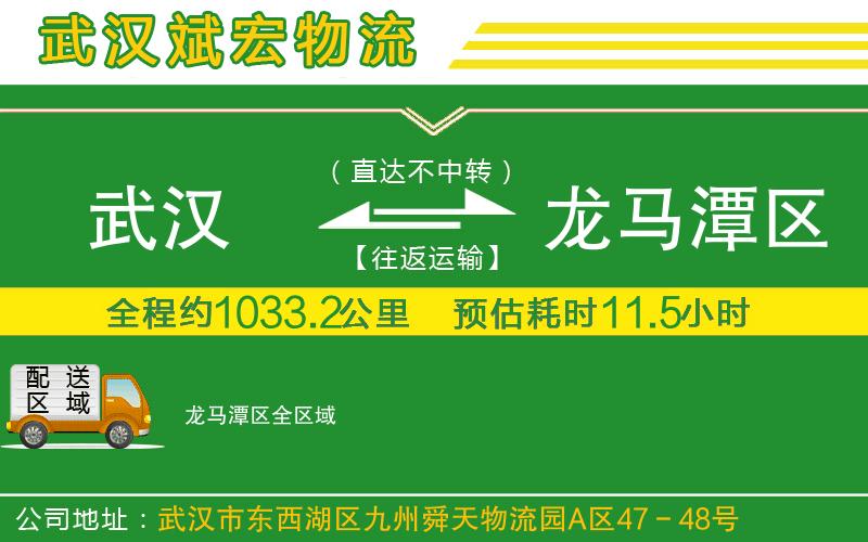 武漢到龍馬潭區(qū)物流公司