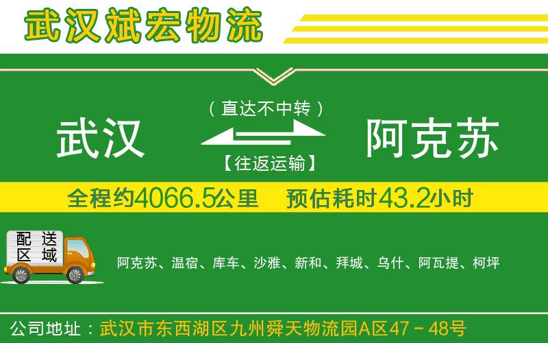 武漢到阿克蘇貨運(yùn)公司