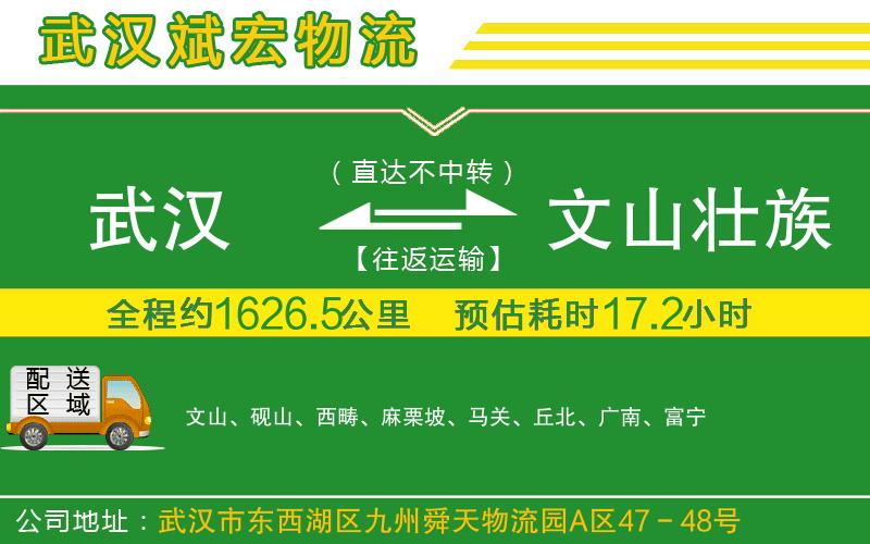 武漢到文山壯族苗族自治州貨運(yùn)公司