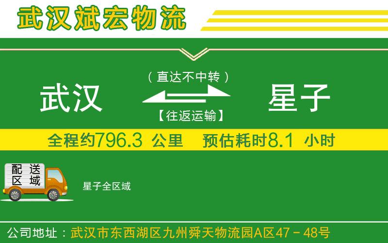 武漢到星子貨運(yùn)公司