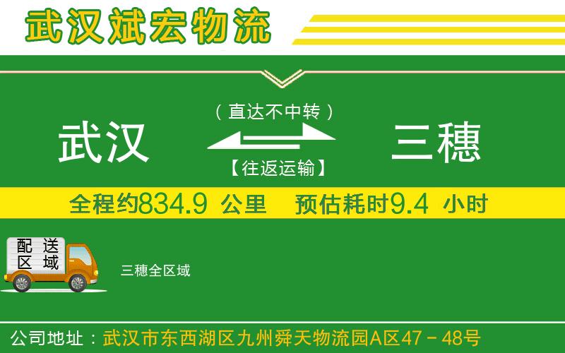 武漢到三穗貨運(yùn)公司