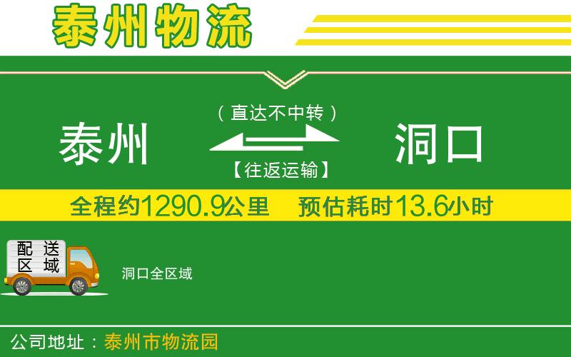 泰州到洞口物流公司