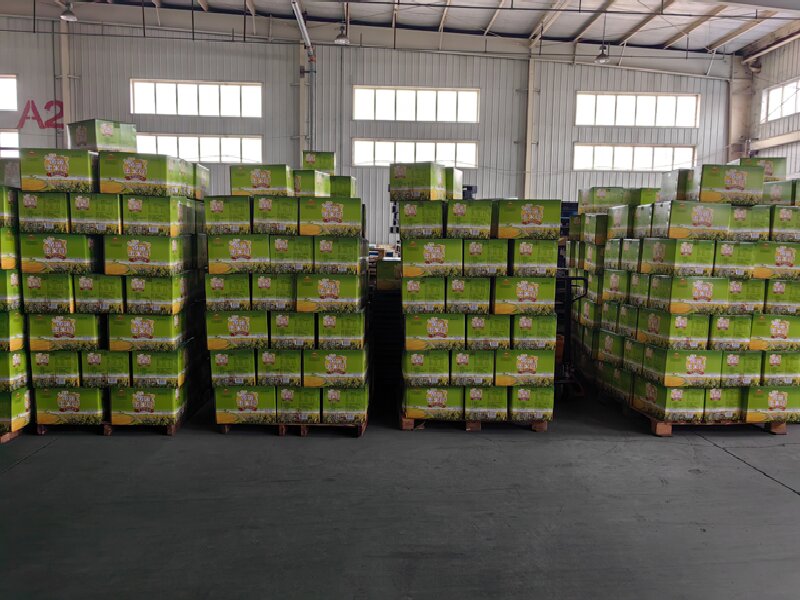 韶關(guān)到沙河貨運(yùn)公司