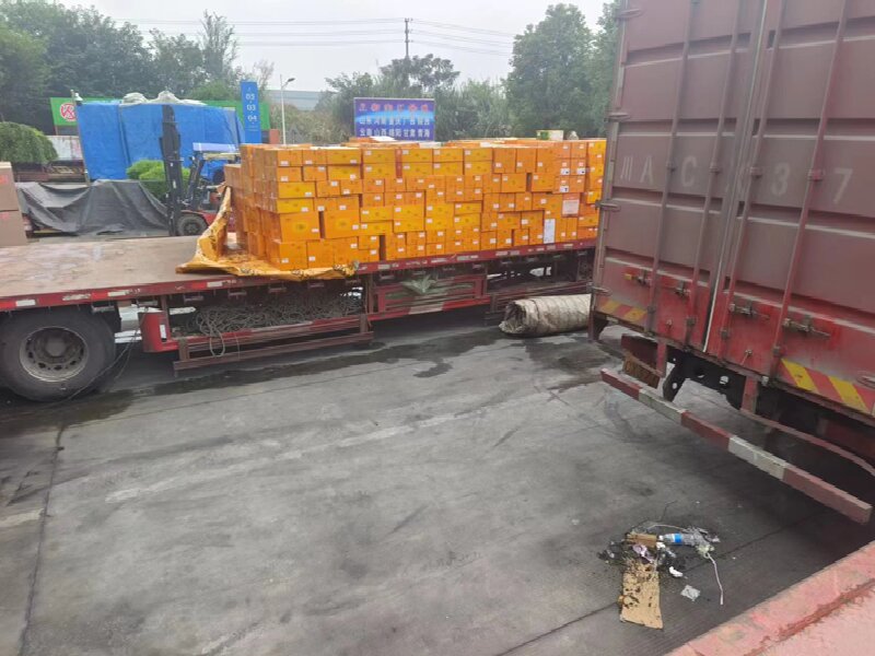 溫州至石獅物流公司